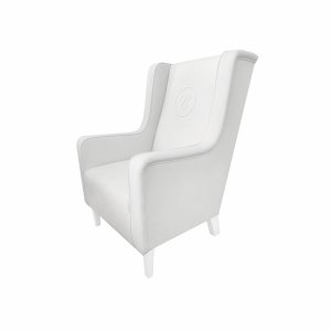 Armchair Modern ivory with emblem after photo session